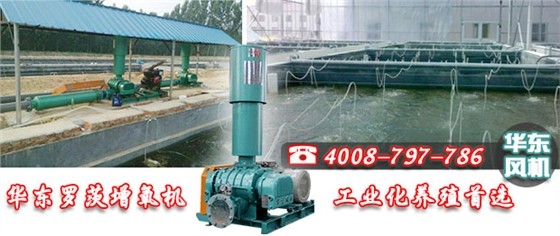 罗茨式增氧机 罗茨式增氧机