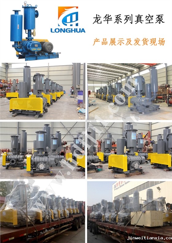 鲁氏真空泵 鲁氏真空泵