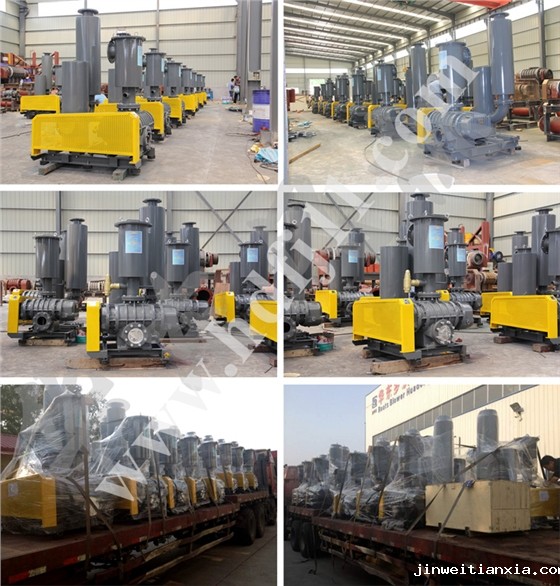 鲁氏鼓风机 鲁氏鼓风机