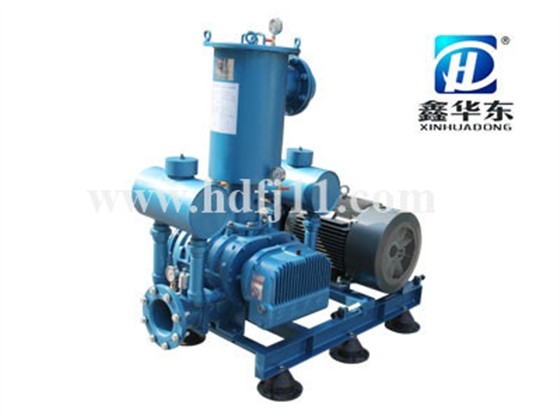 HDSH3-100V逆流冷却真空泵