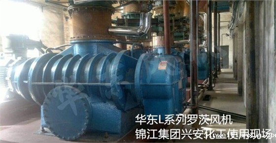 二叶Kaiyun官方体育正规吗 二叶Kaiyun官方体育正规吗