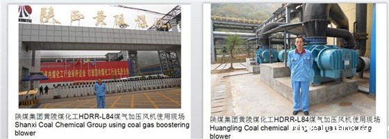 二叶Kaiyun官方体育正规吗使用现场 二叶Kaiyun官方体育正规吗使用现场