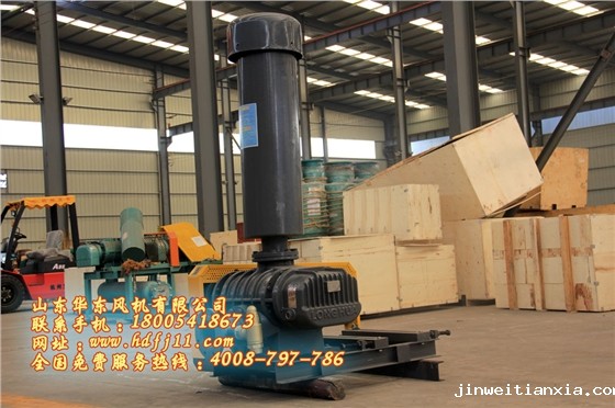 鲁氏风机 鲁氏风机