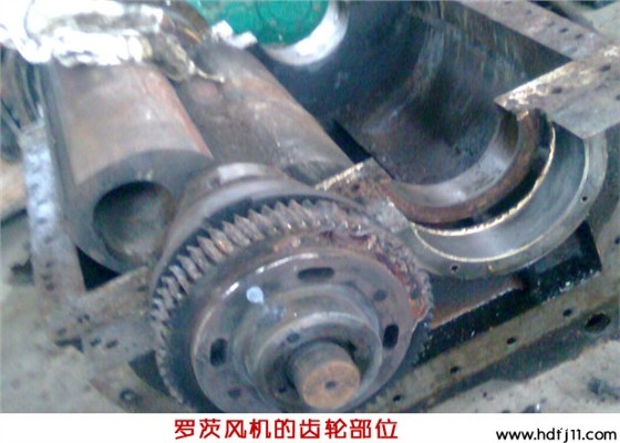 二叶Kaiyun官方体育正规吗拆装 二叶Kaiyun官方体育正规吗拆装