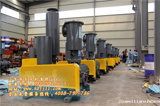 鲁式鼓风机 鲁式鼓风机