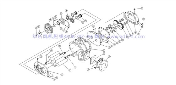 解剖图2.jpg 解剖图2.jpg
