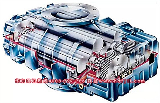 三叶Kaiyun官方体育正规吗.jpg 三叶Kaiyun官方体育正规吗.jpg