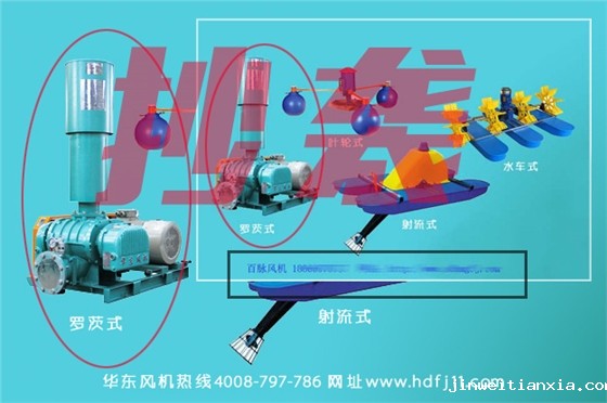 百脉鼓风机抄袭开云体育最新链接网址风机.jpg 百脉鼓风机抄袭开云体育最新链接网址风机.jpg