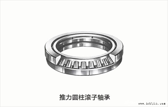 推力圆柱滚子轴承.jpg