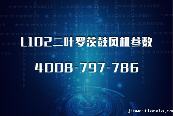 L型罗茨泵价02.jpg L型罗茨泵价02.jpg