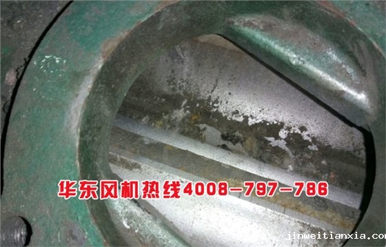 罗茨鼓风机抱死01.jpg