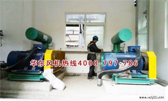 三叶Kaiyun官方体育正规吗