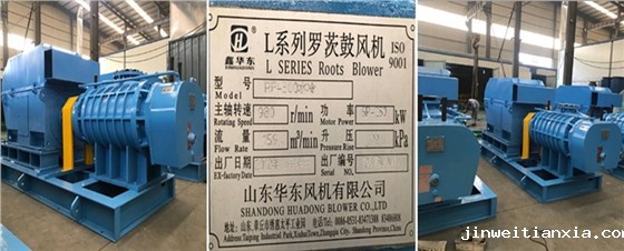 二叶Kaiyun官方体育正规吗 二叶Kaiyun官方体育正规吗