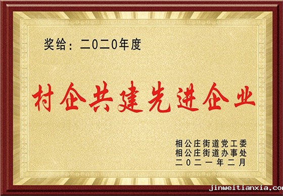 村企共建先进企业大.jpg