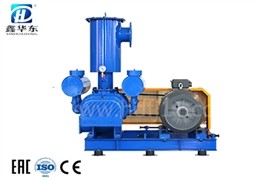 HDSH3-127V逆流冷却真空泵