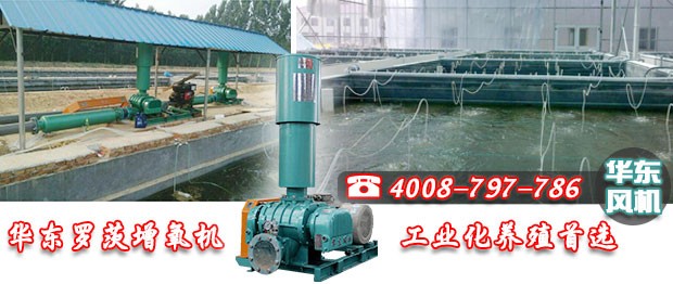 罗茨增氧机 罗茨增氧机