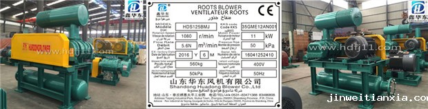 密集Kaiyun官方体育正规吗