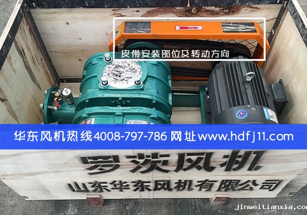 Kaiyun官方体育正规吗皮带松.jpg Kaiyun官方体育正规吗皮带松.jpg