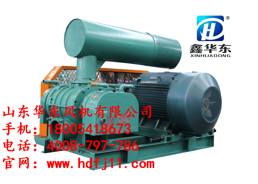 高压罗茨鼓风机 高压罗茨鼓风机