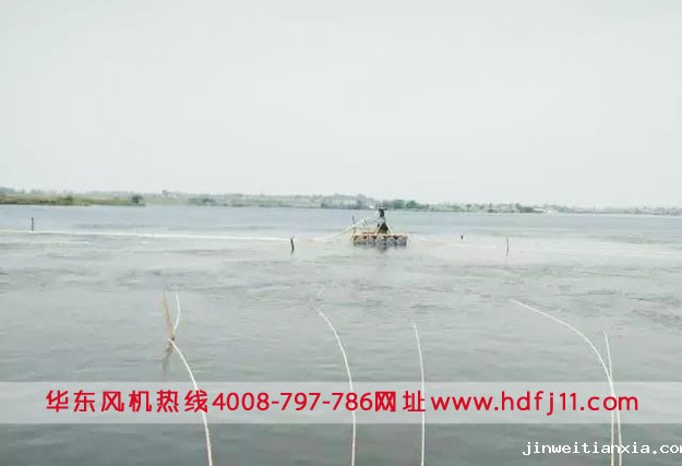 微孔曝气增氧机鳜鱼水产养殖.jpg 微孔曝气增氧机鳜鱼水产养殖.jpg