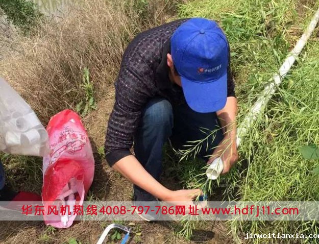 鳜鱼养殖微孔曝气增氧管路.jpg 鳜鱼养殖微孔曝气增氧管路.jpg