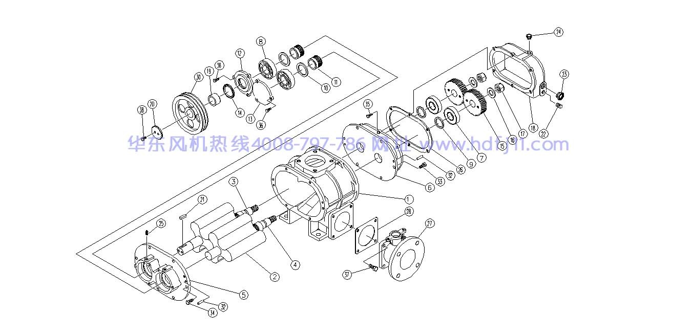 解剖图2.jpg 解剖图2.jpg
