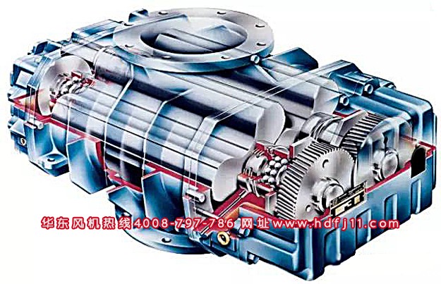 三叶Kaiyun官方体育正规吗.jpg 三叶Kaiyun官方体育正规吗.jpg