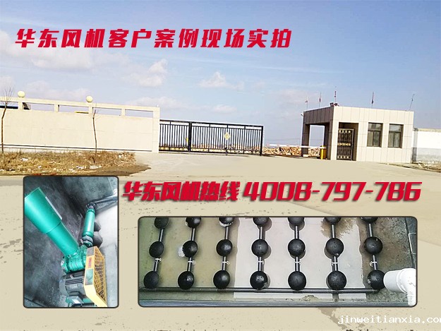 天津福盈农业科技案例02.jpg 天津福盈农业科技案例02.jpg