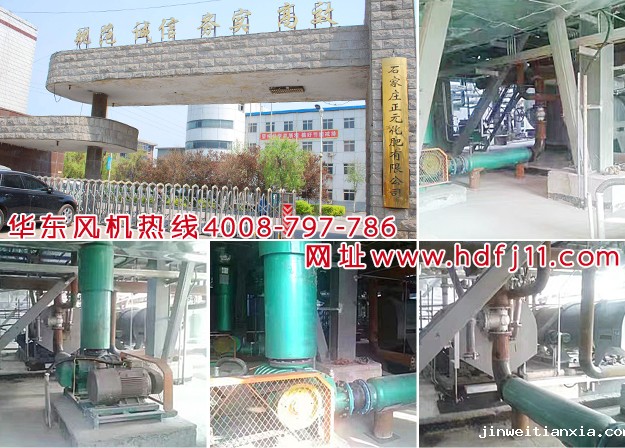 三叶罗茨鼓风机 三叶罗茨鼓风机