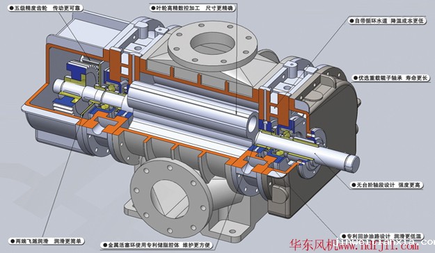 三叶Kaiyun官方体育正规吗内部结构图14解剖图.jpg 三叶Kaiyun官方体育正规吗内部结构图14解剖图.jpg
