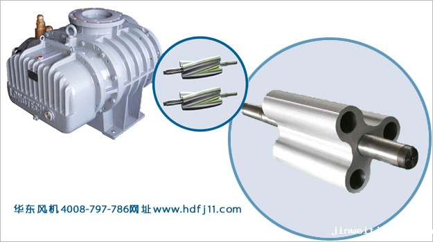 扭叶Kaiyun官方体育正规吗.jpg 扭叶Kaiyun官方体育正规吗.jpg