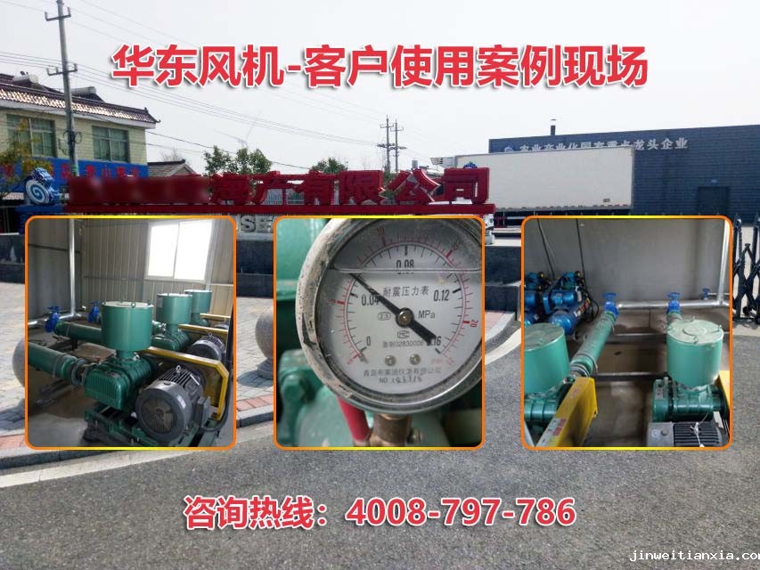 三叶Kaiyun官方体育正规吗 三叶Kaiyun官方体育正规吗