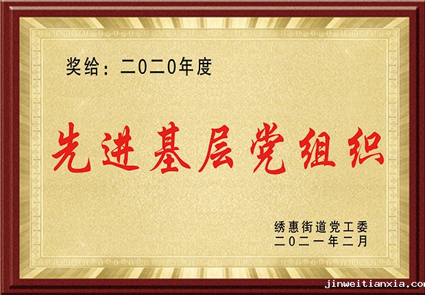 先进基层党组织大.jpg