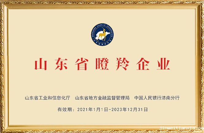 开云体育最新链接网址荣誉-山东省瞪羚企业