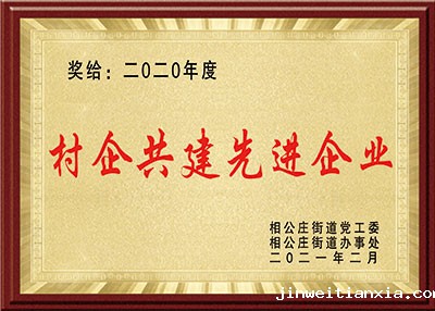 开云体育最新链接网址荣誉-村企共建先进企业