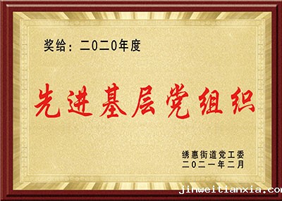 开云体育最新链接网址荣誉-先进基层党组织
