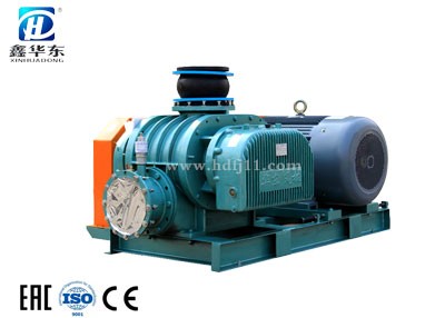 HDSR-300V罗茨真空泵